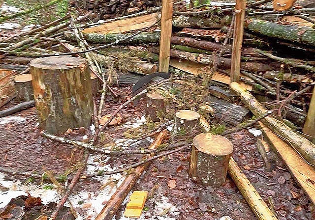 Das Waldsofa der Waldspielgruppe Schnäggehuus in Gränichen wurde Ende Januar mutwillig beschädigt.Bild: ZVG
