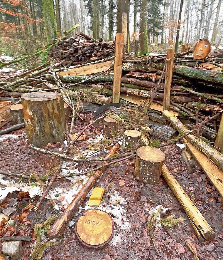 Das Waldsofa der Waldspielgruppe Schnäggehuus in Gränichen wurde Ende Januar mutwillig beschädigt.Bild: ZVG