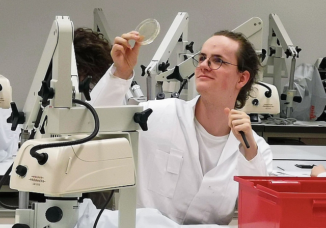 Der Schöftler Kantischüler Benjamin Meyer mag die Molekularbiologie.Bild: ZVG