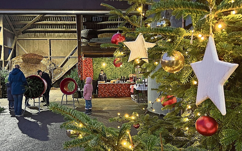 Auf dem Egghof in Muhen wurden 50 Weihnachtsbäume abgegeben, die restlichen 50 in Lenzburg und Gränichen.