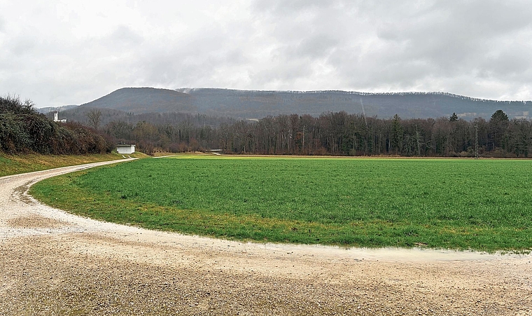 Im Gebiet Lähe/Salenmatt in Rohr soll die neue gemeinsame Abwasserreinigungsanlage für die Region Aarau und das WSU-Gebiet entstehen.Bild: Sarah Moll
