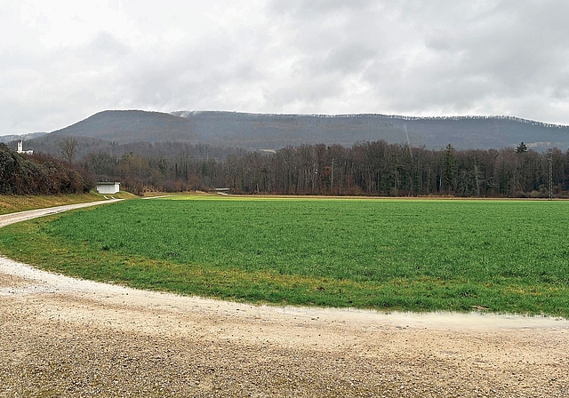 Im Gebiet Lähe/Salenmatt in Rohr soll die neue gemeinsame Abwasserreinigungsanlage für die Region Aarau und das WSU-Gebiet entstehen.Bild: Sarah Moll
