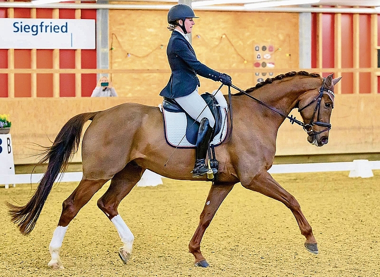 Die Dressurtage in Aarau verbinden sportliche Eleganz mit geselligem Ambiente – und bieten ein Wochenende, das sowohl Pferdefans als auch Neugierige anspricht.Bild: ZVG