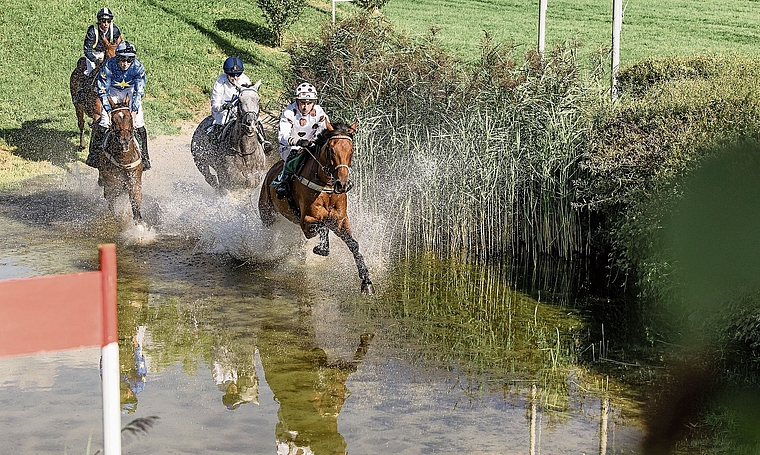 Spannende Renntage warten auf die Besucherinnen und Besucher im Schachen.Bild: zvg