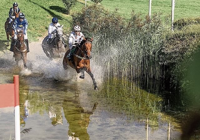 Spannende Renntage warten auf die Besucherinnen und Besucher im Schachen.Bild: zvg