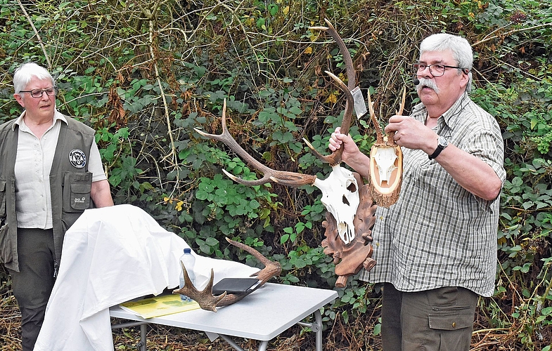 Peter Suter vergleicht ein Hirschgeweih mit dem des Rehbocks. Peter Suter vergleicht ein Hirschgeweih mit dem des Rehbocks.