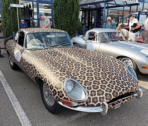 Im Design von 100 Jahren Jaguar und Emil Frey. 