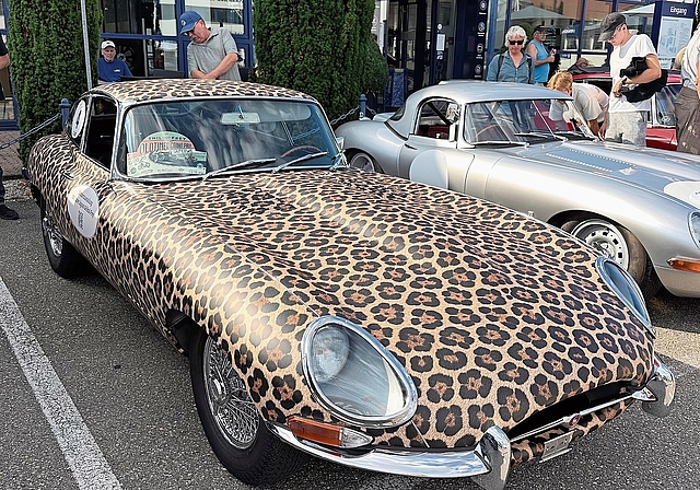 Im Design von 100 Jahren Jaguar und Emil Frey. 