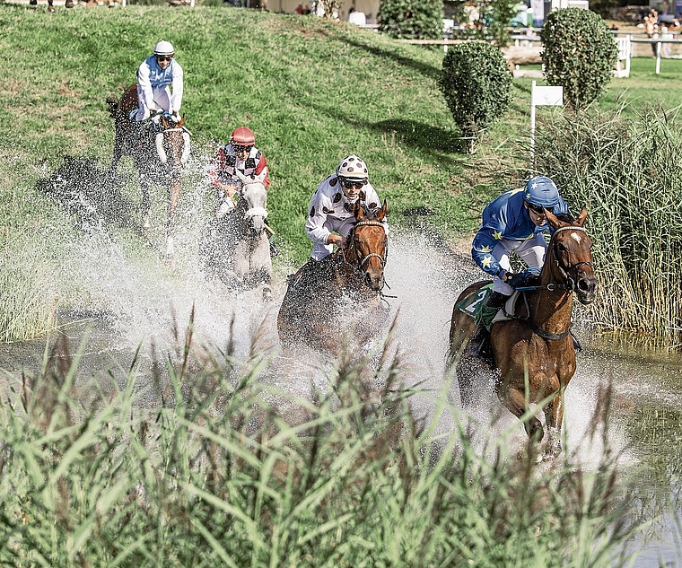 Im letzten Rennen des Tages siegte «On Your Mark» mit James Reveley.Bild: micheleforster.art