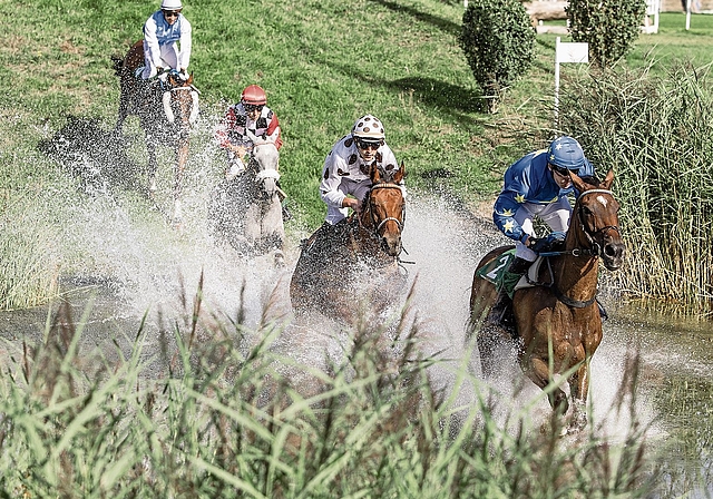 Im letzten Rennen des Tages siegte «On Your Mark» mit James Reveley.Bild: micheleforster.art