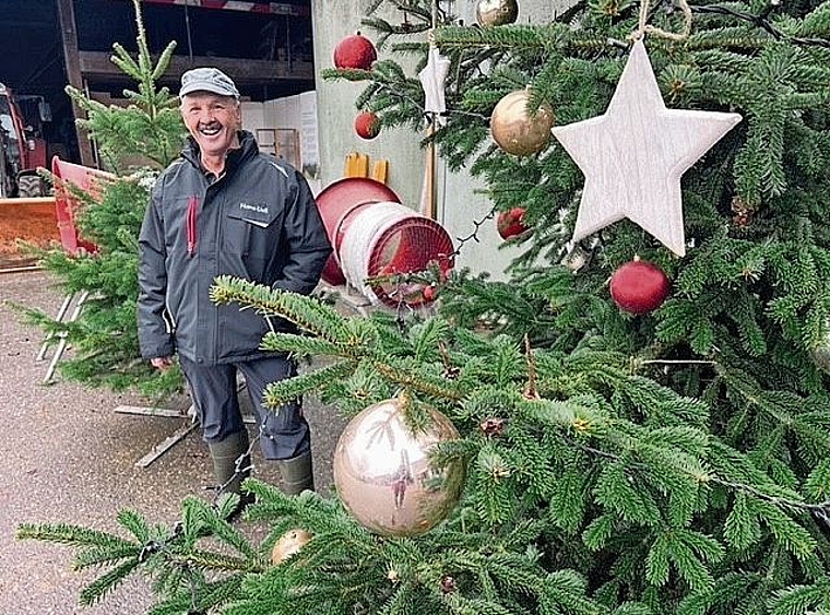 Hansueli Lüscher auf dem Egghof, wo alles bereit ist für den Weihnachtsbaumverkauf.Bild: KF