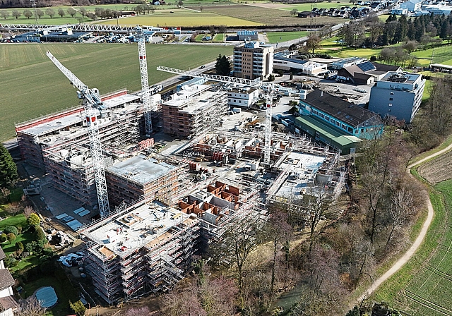 Fast 250 neue Wohnungen: In Kürze wird auf der Grossbaustelle in Oberentfelden «Aufrichti» gefeiert. Bild: TIZ