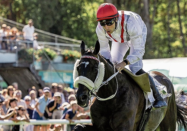 «Solid Spirit» mit Dylan Ubeda im Sattel siegte im Hauptrennen.Bild: zvg