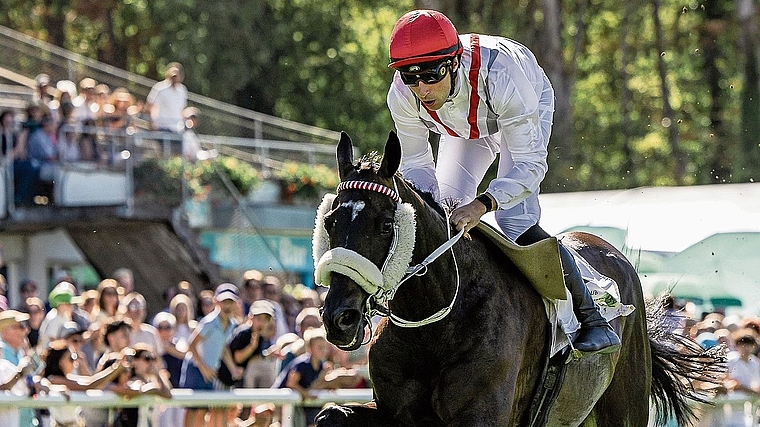 «Solid Spirit» mit Dylan Ubeda im Sattel siegte im Hauptrennen.Bild: zvg
