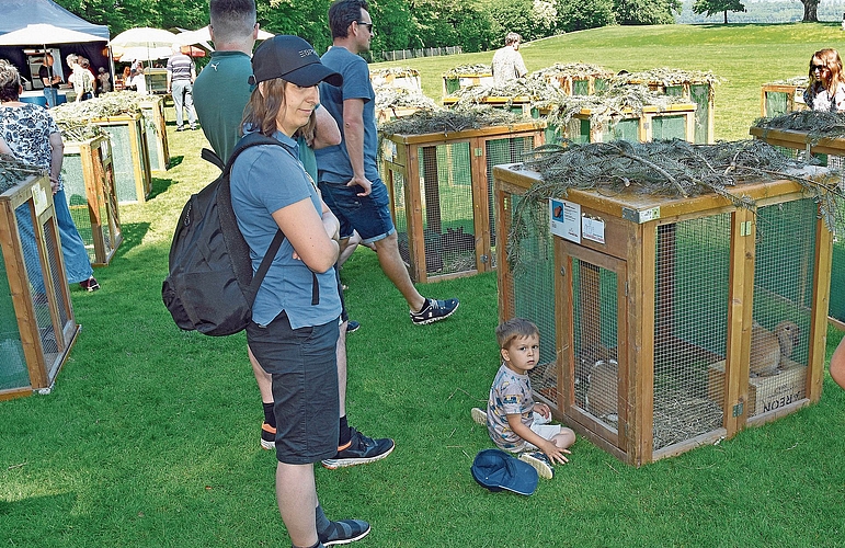 Kinder haben die meiste Freude an den ausgestellten Jungtieren.Bilder: Alfred Weigel Kinder haben die meiste Freude an den ausgestellten Jungtieren.Bilder: Alfred Weigel
