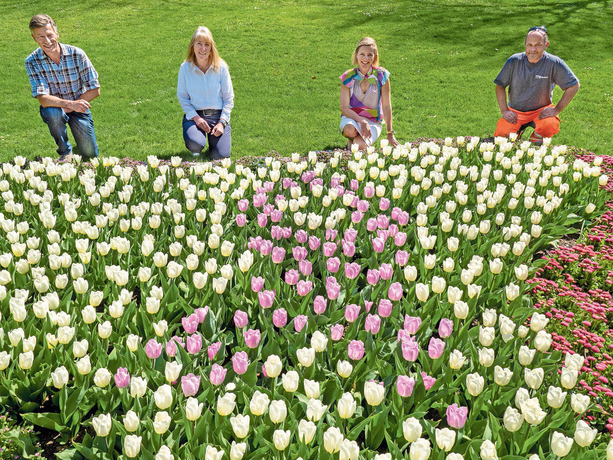OLYMPUS DIGITAL CAMERA Max Jaggi, Leiter Stadtgrün, Regina Wenk, Leiterin Werkhof, Stadträtin Suzanne Marclay-Merz und Stephan Sandmeier bei der Rabatte mit den 800 blühenden Tulpen | Der Landanzeiger